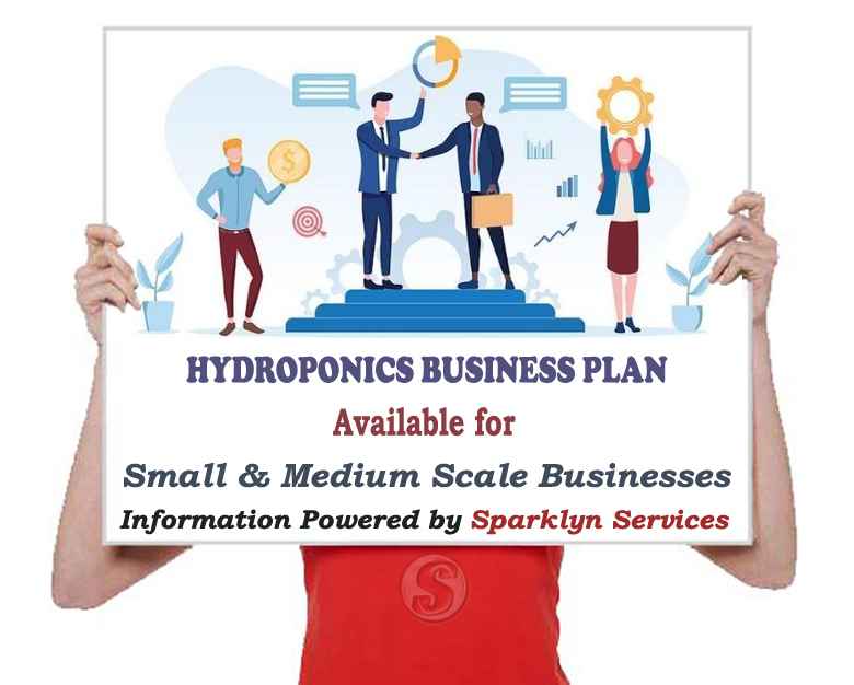 Hydroponics Business Plan for Entrepreneurs
