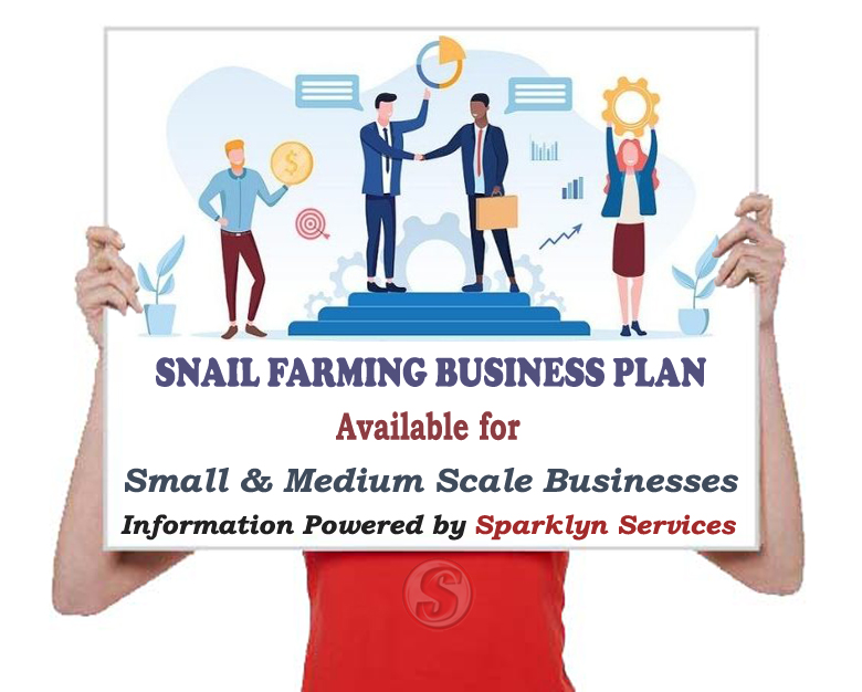 Snail Farming Business Plan for Small and Medium Scale Business