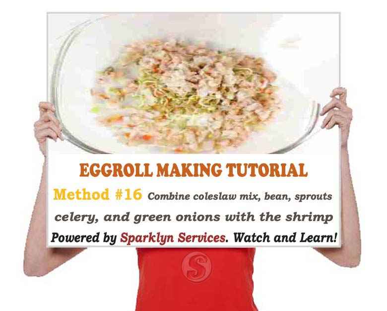 Combine coleslaw mix, bean sprouts, celery, and green onions with the shrimp