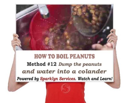  Dump the peanuts and water into a colander