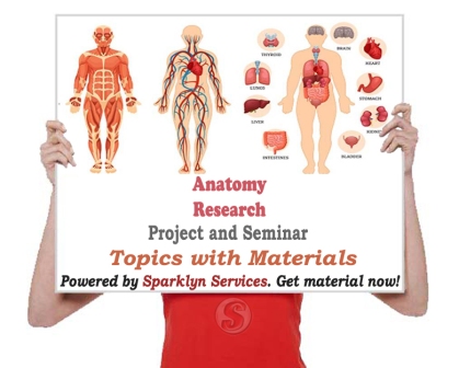 Anatomy Seminar Topics and 22+ Project Materials